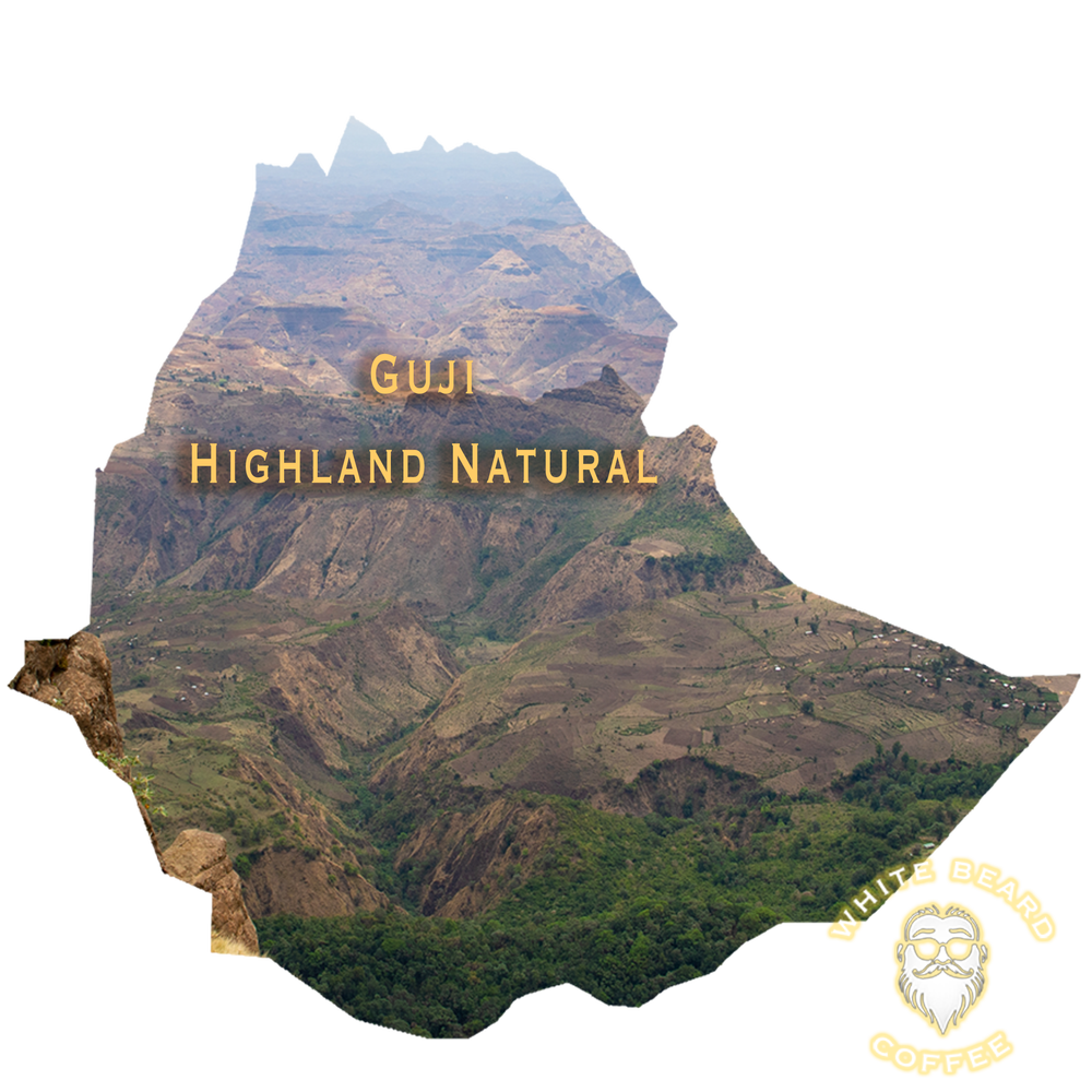 Ethiopia Guji Highland Natural — White Beard Coffee